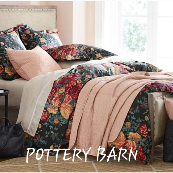 Meet your Posher, Jo - Picture 12 of 16